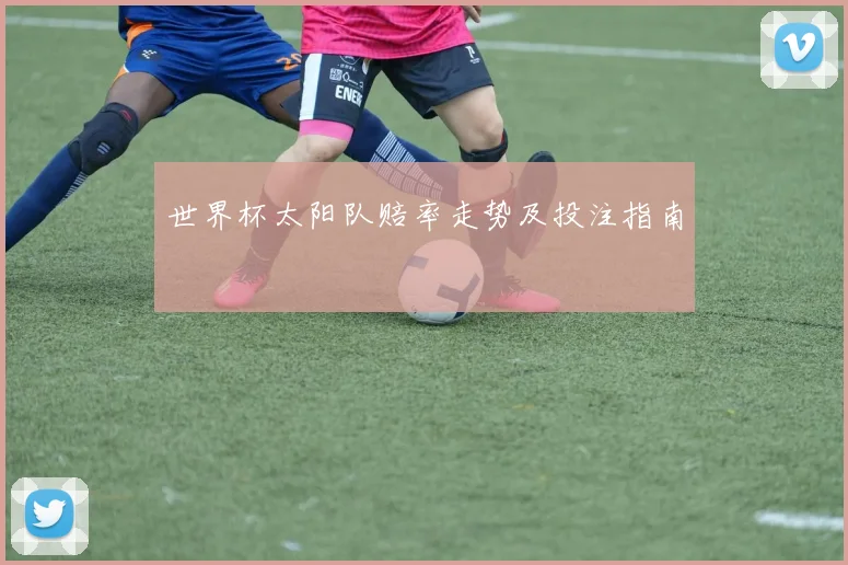 世界杯太阳队赔率走势及投注指南